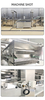 Laveuse de légumes à rouleaux brossés LWT pour le nettoyage et le pelage des choux-fleurs, du gingembre, du manioc, des radis – Machine de traitement des aliments et des fruits