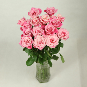 Fleurs fraîches coupées : <span class=keywords><strong>Jasmin</strong></span>, Rose, Chrysanthème en bouquet – Décoration florale saisonnière pour fleuriste et arrangements floraux - Product Image 5