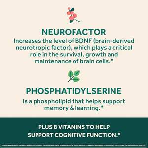 Para NEURIVA 60-Cápsula Super Descafeinado Ensayo Clínico Rompecabezas Suplemento Cerebral Vigilancia Psicológica Memoria Extracto de Planta - Product Image 5