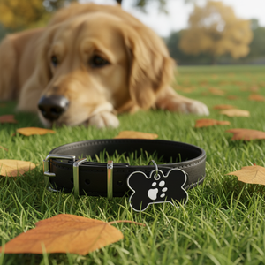Medaglietta per animali domestici a forma di osso grande nero con impronta di zampa per cani - Product Image 3