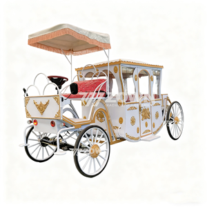 Carruaje Eléctrico Real de Lujo para Bodas, Transporte de 60V 80A con Batería, Ruedas Sólidas, Personalizable, Homologado CE, de 4 Ruedas - Product Image 3