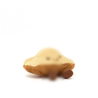 Peluche de haute qualité style Jelly Cats, plusieurs modèles, jouet en peluche moelleux avec rembourrage doux, pour la vente en gros aux magasins de cadeaux