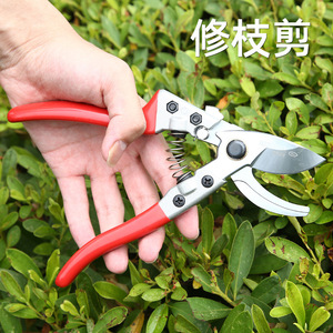 Moonracer Pruning Shears V8 Curved Bypass 20-30 Mm Red Handle Garden Tool - Product Image 4