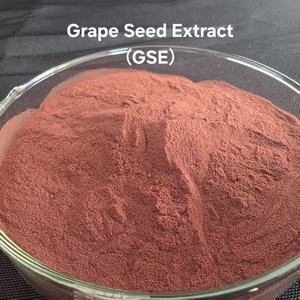 有機グレープシードエキス粉末 食品グレード 99% 純粋天然植物エキス 溶媒抽出 真空パック カスタマイズ可能ドラム - Product Image 4