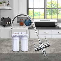 Robinet de cuisine portable en acier inoxydable écologique à débit unique, purificateur d'eau manuel à col long avec filtre RO pour usage domestique, 2-en-1, garantie 1 an