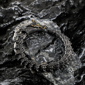 Pulsera de Dragón de Acero de Titanio para Hombre, Estilo Retro Punk, Chapado en Oro Oscuro, Diseño Animal, Joyería de Regalo CE621 - Product Image 2