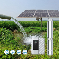 Pompe submersible solaire AC/DC, pompe à eau solaire alimentée par l'énergie solaire 750W en Ouganda