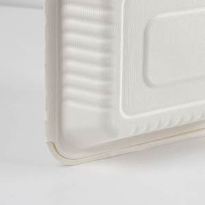 Caja de bagazo biodegradable desechable para comida rápida, contenedor de almuerzo, tubo de bagazo de caña de azúcar recubierto, con cierre elegante tipo concha - Product Image 4