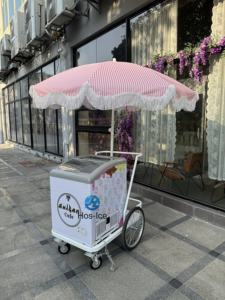 Vente d'Europe Crème glacée Snack Food Street Food Popsicle Vending Hand Push Cart avec batterie Boisson froide Bar mobile - Product Image 4