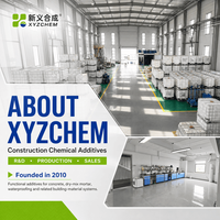 Réducteur de viscosité pour mortier en poudre Xystone V203P, pH 8±1, teneur en chlorure <0,1 %, pour améliorer les mortiers à faible rapport eau-ciment