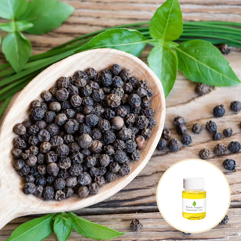 Antibacterial CAS 8006 82 4 Black Pepper Essential Oil For Massage