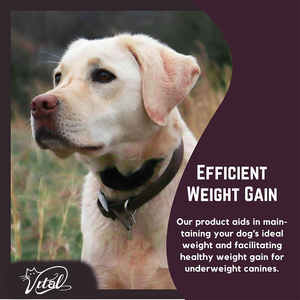 מזון כלב קלוריות גבוה תוספת משקל מהיר להשיג אבקת חלבון התאוששות 60 מנות ממריץ תיאבון עבור ציפור פשעה - Product Image 2
