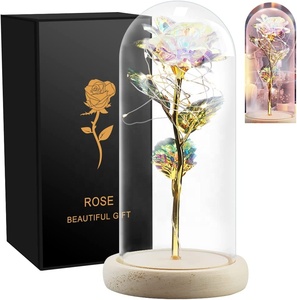 AYOYO OEM <span class=keywords><strong>Rose</strong></span> dans un couvercle en verre 2026 Bracelet éternel de la Saint-Valentin Cadeau de la mère Cadeau de la Saint-Valentin - Product Image 4