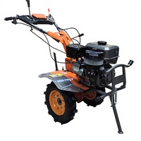 Motoculteur à essence 1050 mm de largeur avec boîte de vitesses 2,5 L pour le désherbage des vergers, 7 CV, pour exploitation agricole moyenne, Vietnam, Philippines