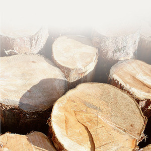 Peigne rond professionnel en bois pour femmes, idéal pour le coiffage des franges, la création <span class=keywords><strong>de</strong></span> volume à la racine des <span class=keywords><strong>cheveux</strong></span> et la coiffure des <span class=keywords><strong>cheveux</strong></span> bouclés pour hommes - Product Image 3