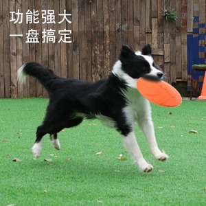 Joypet Chiens Flying Disc Training Interactive Puppy Flyer Léger Soucoupe Flottant Disques Jouets d'entraînement pour le sport en plein air - Product Image 1