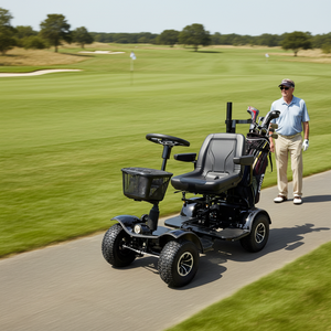 KALOSSE J08 <span class=keywords><strong>Voiturette</strong></span> de golf/buggy pour 1 personne handicapée, moteur 1000W, avec contrôleur Curtis, cadre en acier, batterie au lithium rechargeable 24V - Product Image 1