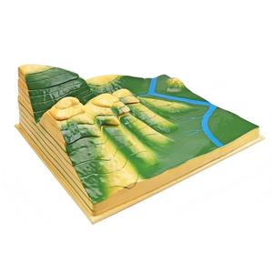 Mapa Topográfico de Líneas de Contorno, Modelo 3D de Terreno, Ayuda Didáctica para la Enseñanza de Geografía - Product Image 4