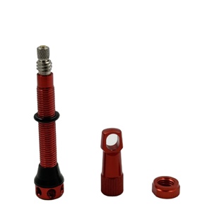 KAISHENG Tige de <span class=keywords><strong>valve</strong></span> Presta <span class=keywords><strong>tubeless</strong></span> pour vélo de <span class=keywords><strong>route</strong></span> en alliage d'aluminium coloré Nouvelle chambre à air de remplacement - Product Image 5