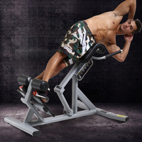 Chaise romaine réglable à 90 degrés pour extension de dos multifonctionnel pour équipement de fitness commercial Gym