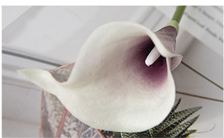 Coeur violet blanc