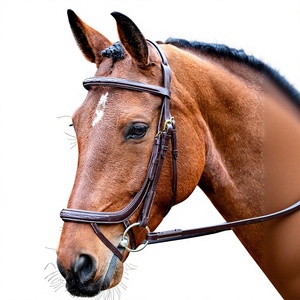 Fanfaree Nouvelle Couverture Anti-Transpiration Professionnelle pour Dressage Équestre, Légère et Respirante pour l'Été, pour Chevaux - Product Image 5