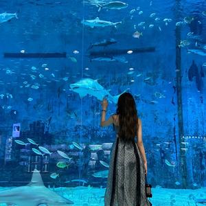 Prix de gros transparent 8m de haut grand mur commercial <span class=keywords><strong>aquarium</strong></span> acrylique panneau feuille poisson <span class=keywords><strong>aquarium</strong></span> réservoir - Product Image 4