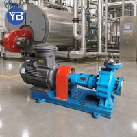 Pompa Sentrifugal Suhu Tinggi RY65 40 200A 25 M3H 35 M Pompa Oli Transfer Panas 2900 Rpm Dengan Motor Langsung Dari Pabrik