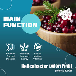 Suplemento Dietético Personalizado OEM, Polvo Probiótico para Helicobacter Pylori |   Fórmula de Apoyo Digestivo e Intestinal, Suplemento Nutricional - Product Image 3