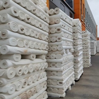 Tissu de doublure en taffetas teint croisé 75D 190T 100% polyester respirant et à séchage rapide pour sacs et vêtements – Vente en gros pour usines