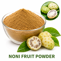 Longbio Groothandel 100% Natuurlijk Noni Fruitpoeder Gefreeze-droogd Noni Sappoeder voor Dranken