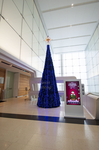 Arbre LED <span class=keywords><strong>DMX</strong></span> pour extérieur, spectacle de lumière LED intelligent, arbre à pixels RGB, méga arbre à pixels, décoration de Noël, cadre métallique géant - Product Image 5