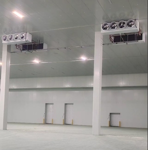 ห้องเย็นอุตสาหกรรมขนาดใหญ่สำหรับเนื้อสัตว์ อาหารทะเล ผัก แช่แข็ง เก็บรักษาแบบเชิงพาณิชย์ ตู้แช่แข็งแบบวอล์กอิน - Product Image 3