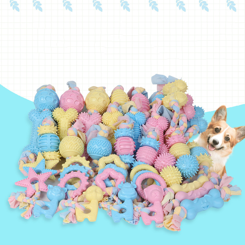 Wholesale Manufacturer Multi shapes Chew Pet