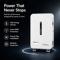 Système de stockage d'énergie domestique 10 kWh, batterie solaire LiFePO4 51,2 V avec onduleur de type split pour une alimentation de secours complète