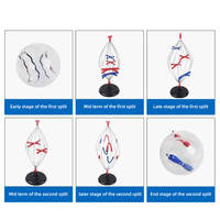 Modelos de Mitosis y Meiosis de Células Animales y Vegetales, Cambios Cromosómicos, Material Didáctico, Instrumentos de Enseñanza de Biología