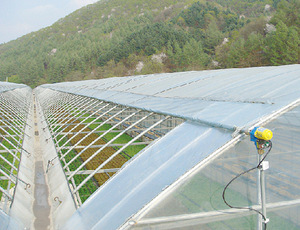 Custo Efetivo Multispan Greenhouse Top Quality Melhor preço Tamanho Grande Personalizado Agricultura Estufa Hot Selling Greenhouse - Product Image 3