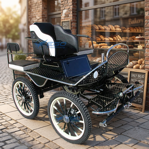 High Quality Marathon Horse Wagon Cart Soft Double Leather Seats Steel Structure Hydraulic Brakes Electric - Product Image 1