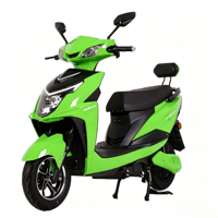 Moto électrique longue portée 1000W Vente directe d'usine