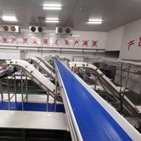Ensemble complet compact Processus automatique de découpe de viande de boeuf Système d'abattage de poulets de chair de volaille Convoyeur à bande pour abattoir d'usine