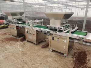 Machine de semis automatique pour plateaux de semis, entièrement automatique, remplissage de terre pour pépinière, perforation de trous et équipement de semis de précision - Product Image 3