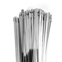Attaches de câbles autobloquantes robustes en acier inoxydable 304 Nindejin 304-JSZD, largeur 4,6-10 mm, usage industriel, pour isolation d'échappement