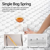 Matelas à ressorts ensachés compressés en mousse à mémoire de forme en gel orthopédique pour hôtel, taille Queen, 5 zones