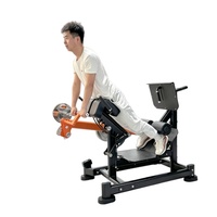 Máquina de Extensión de Cadera a 45 Grados para Uso Comercial, Silla Romana, Entrenador de Extensión de Cadera, Equipo de Gimnasio para Ejercicios de Músculos de la Espalda