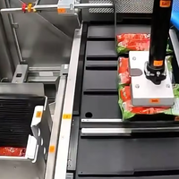Robot Otomatis Penuh dengan Repetibilitas Tinggi untuk Lini Pengemasan Kantong