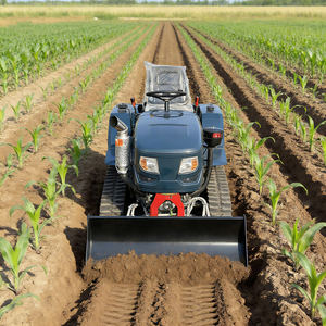 Mini-rupsbandtractor voor landbouw, dubbel doel: ploegen en bemesten, slootgraven, rotorkopeggen, cultivator - Product Image 2