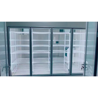 Promenade dans la porte en verre de réfrigérateur plus fraîche avec le cadre en aluminium et les lumières de LED