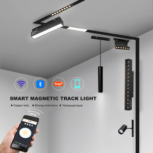 Dglux <span class=keywords><strong>2025</strong></span> LED theo dõi ánh sáng hiện đại tuyến tính LED hệ thống chiếu sáng nhôm nhiệt độ màu tùy chọn 2700K 4000K 6000K phụ kiện - Product Image 6