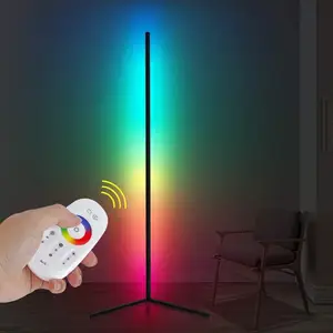Modern minimalist line remote control led floor lamp light