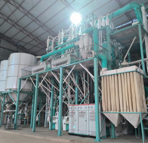 Molino de Rodillos de Alta Eficiencia de 60 Toneladas, Molino de <span class=keywords><strong>Harina</strong></span> de Maíz, Máquina para Hacer Sémola de Maíz, Equipo para la Industria Alimentaria, Kenia 6FMFQ - Product Image 1